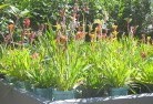 Mooraboolplant-nursery-17.jpg; ?>