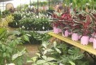 Mooraboolplant-nursery-7.jpg; ?>